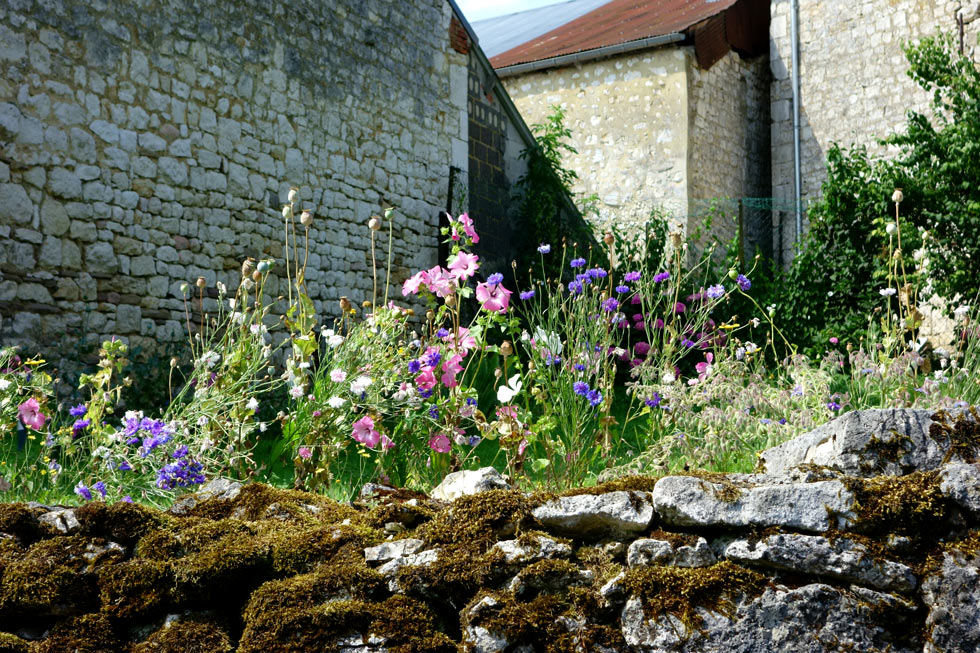 Bossus-lès-Rumigny